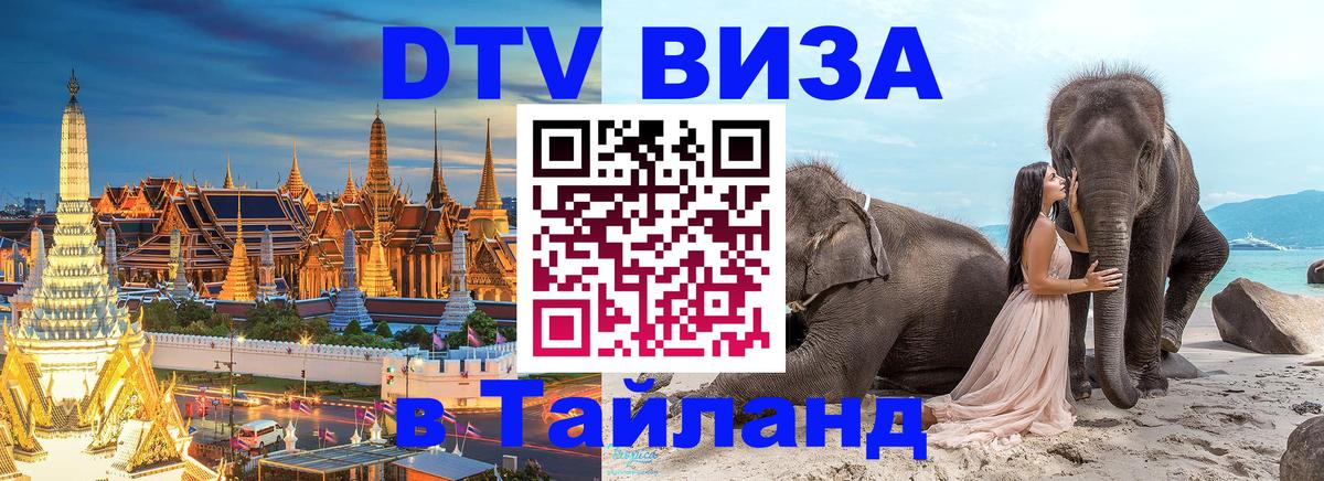 Сколько стоит DTV виза — актуальные цены, оформление даже без документов - Новосибирск 